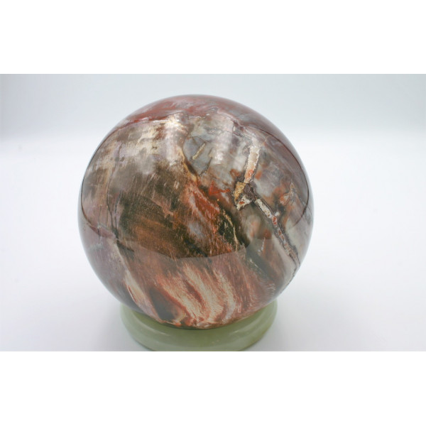 Sphère en bois fossile