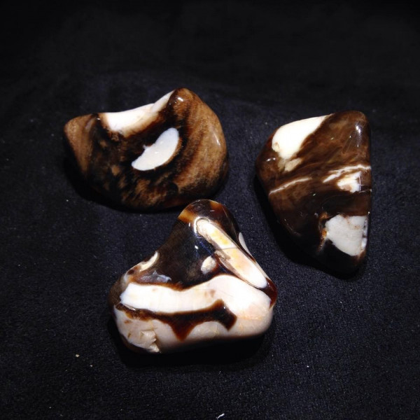Pierres polies Peanut Wood