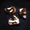 Pierres polies Peanut Wood