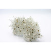 Chalcopyrite sur Quartz