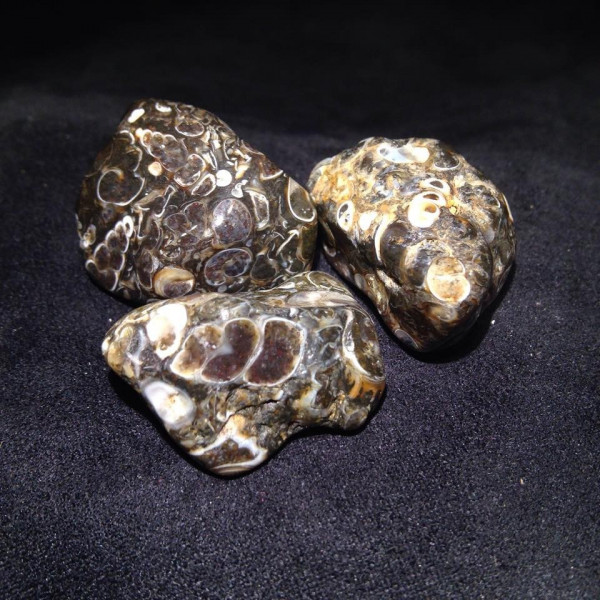 Pierres polies Agate Turitelle