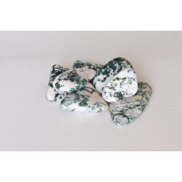 Pierres polies Agate Mousse