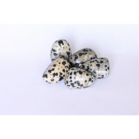 Pierres polies Jaspe Dalmatien
